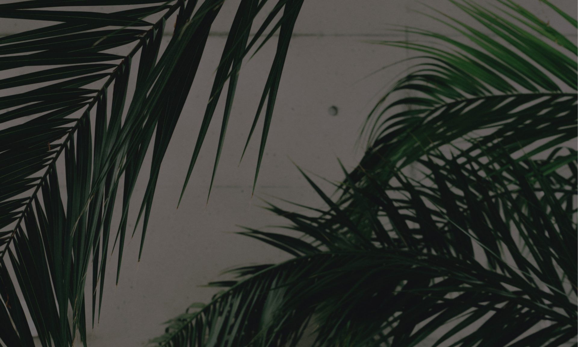 Home Header