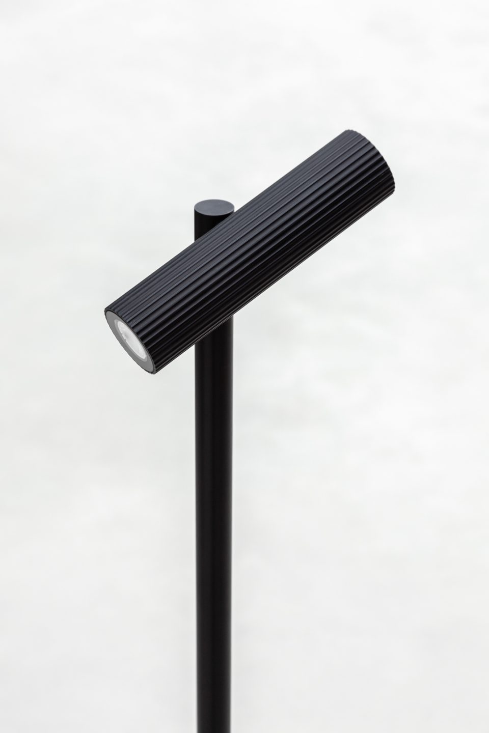Mororo 20191226 3 Lr 21